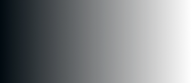Shadow