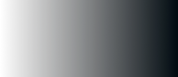 Shadow
